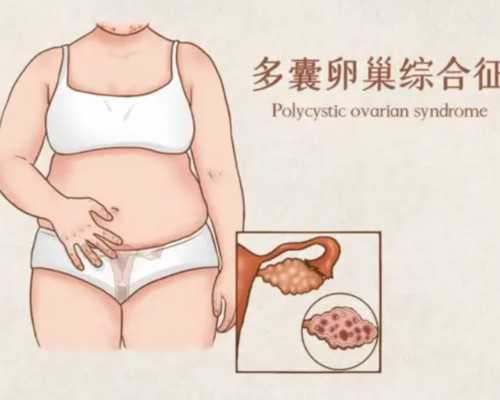 广州世纪助孕公司官网jci_上海世纪试管助孕中心,福州哪里有代生的 2022福州人