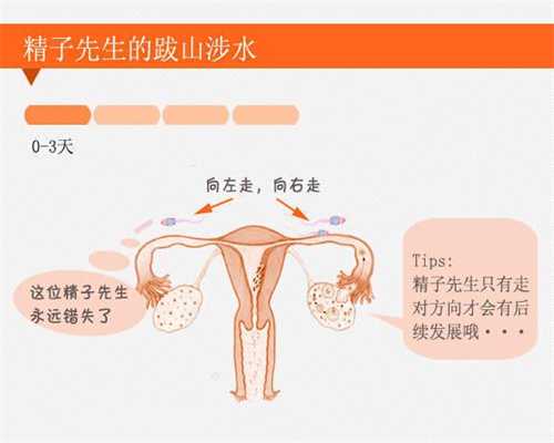 广州试管婴儿选男女多少钱_中国第三代试管的医院
