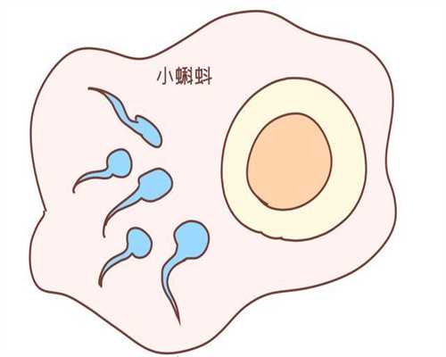 广州借腹生子有保障吗_广州试管婴儿生儿子的流程