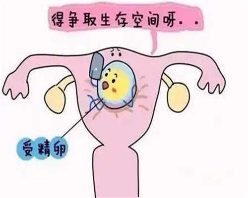 广州试管助孕_广州最大的助孕公司