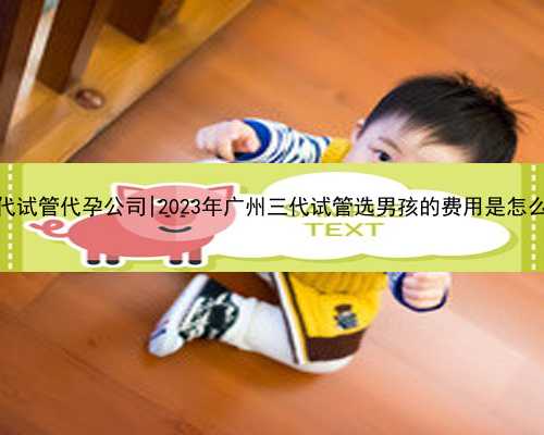 广州三代试管代孕公司|2023年广州三代试管选男孩的费用是怎么收的？