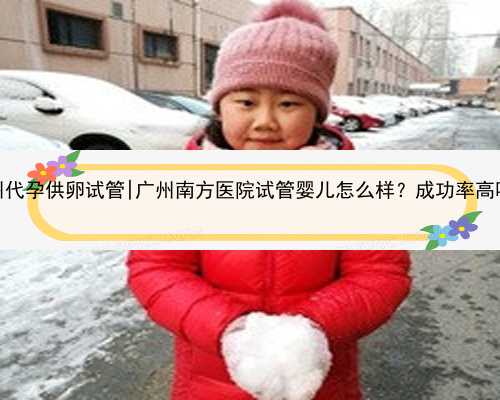 广州代孕供卵试管|广州南方医院试管婴儿怎么样？成功率高吗？